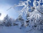 蓼科山の霧氷