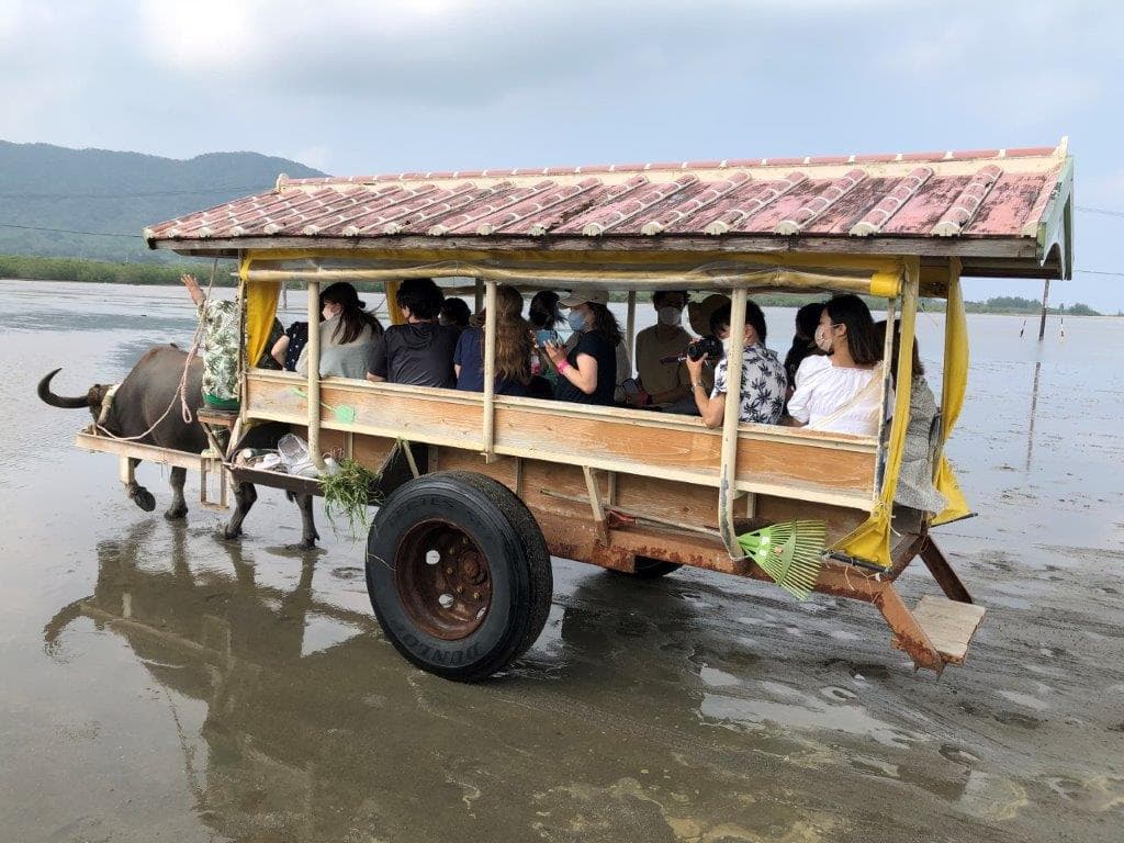 水牛車と観光客