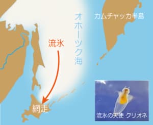 流氷シーズン