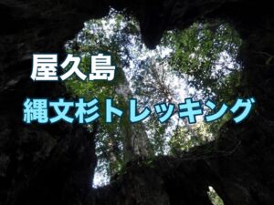 屋久島トレッキング