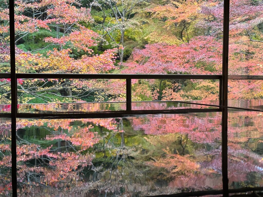 写経机に映る紅葉