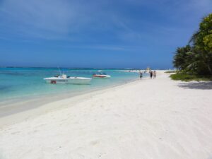 ビーチで日光浴する観光客