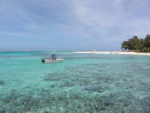 透明度の高い海