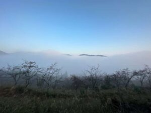 ガスで隠れた竹田城跡