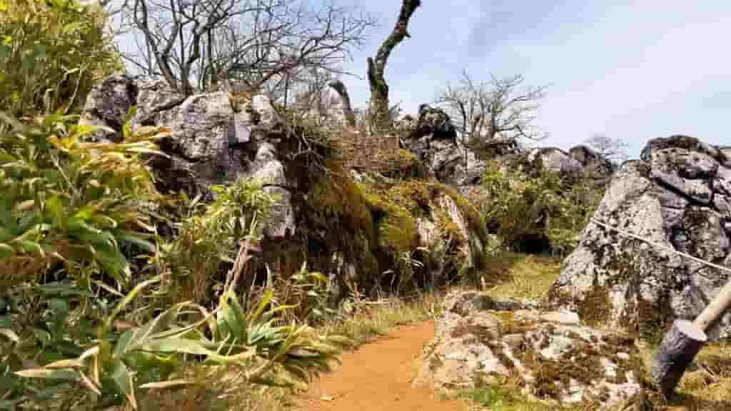 カルスト台地のような石灰岩
